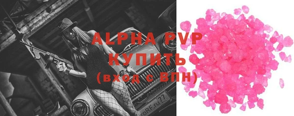 стафф Алексин