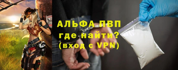 стафф Алексин