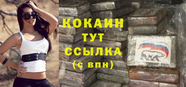 стафф Алексин