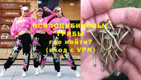 твердый Пролетарск