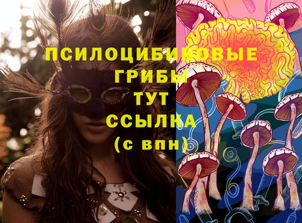 стафф Алексин